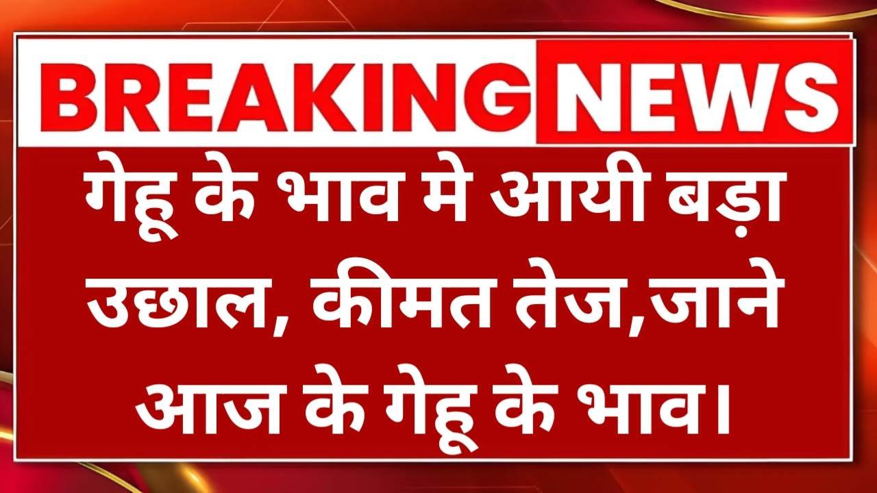 Gehu rate today update